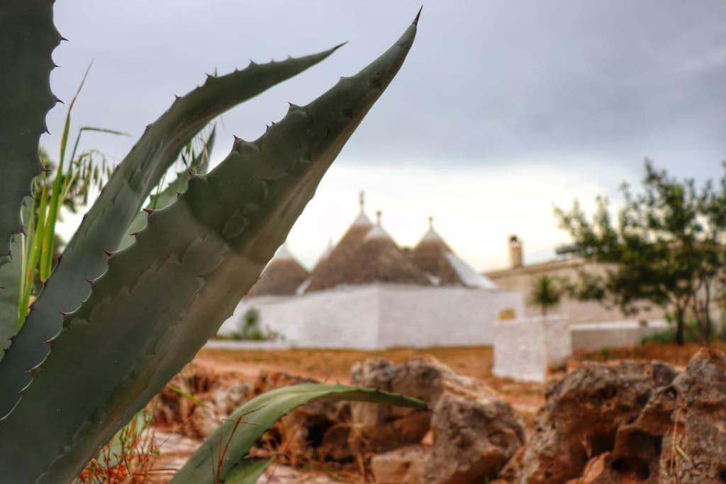 チェーリエ・メッサーピカ I Trulli D'A Rossヴィラ エクステリア 写真